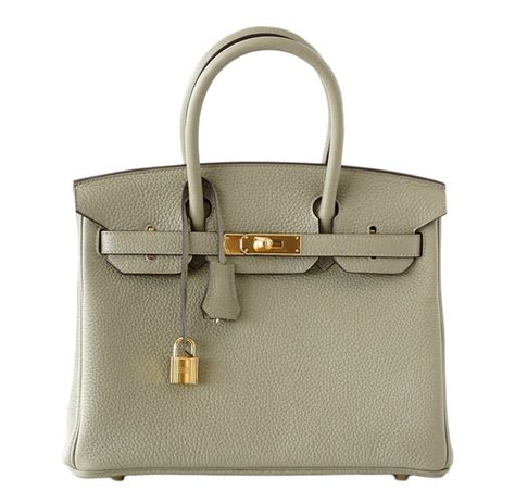 hermes birkin rare rust color clemence leather purse bag|discontinued hermes bag colors.